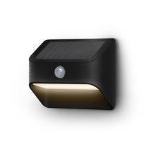 Black:Smart Lighting Solar Steplight
